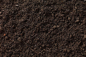 Mulching - Topsoil